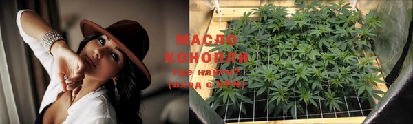 индика Дмитровск