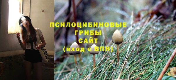 кокаин Гусь-Хрустальный