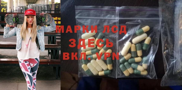 индика Дмитровск