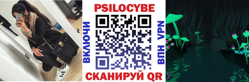 Купить  Заозёрный  Галлюциногенные грибы Psilocybine cubensis 