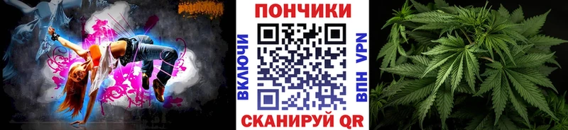 Конопля планчик  Купить закладки  Заозёрный 